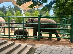 -秦皇岛野生动物园