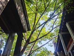 -VOYAGE COFFEE(杨梅竹店)