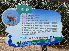 -青藏高原野生动物园
