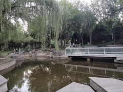 -南长河公园