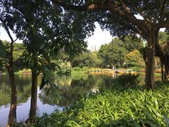 -晓港公园