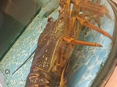 -大渔小鲜火锅店