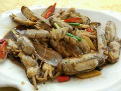 -鑫悦楼煎蟹·16年海鲜大排档
