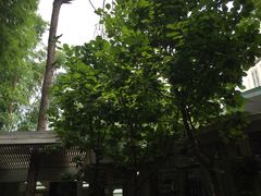 -新竹里馆·花园餐厅(兴苑路店)