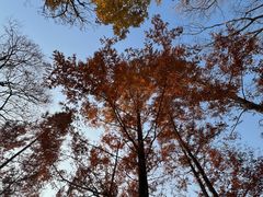 -贡湖湾湿地公园