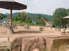 -大连森林动物园