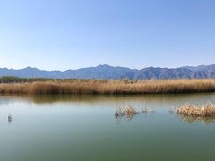 -野鸭湖国家湿地公园