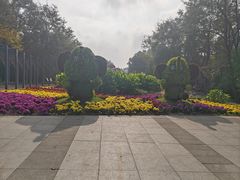 -沈阳植物园