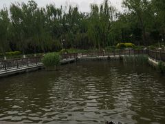 -莲花池公园