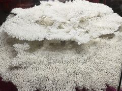 -游龙石文化科普馆
