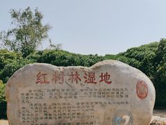 -霞山观海长廊