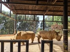 -云南野生动物园