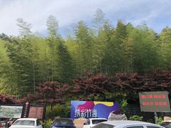 -宁波浙东大竹海景区