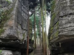 -梭布垭石林景区