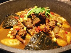 -甲大帅·甲鱼·椰子鸡主题餐厅(唐家店)