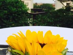 -上海崇明金茂凯悦酒店