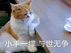 -健康小吃