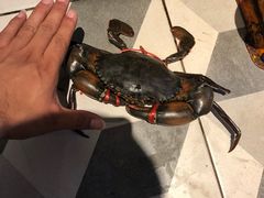 -泰华海鲜中餐厅(普吉镇店)