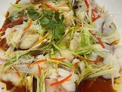 红东星斑-渔民新村(番禺总店)