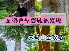 -上海佘山国家森林公园天马山园