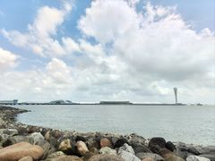 -上海吴淞炮台湾国家湿地公园