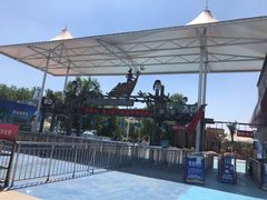 -海盗传奇水世界