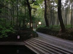 -龙井村
