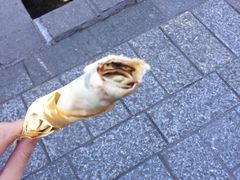 烤乳扇-杨记乳扇·雕梅