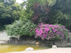 -听香·678茶铺(猛追湾店)