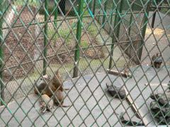 -藏龙百瀑风景区