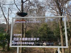 -WeLope紫金山探险公园