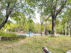 -牛岗山公园