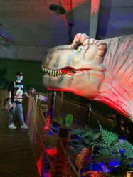 -恐龙探索乐园(磁器口店)