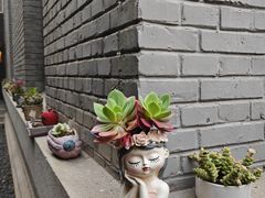 -庐灶江南·江南菜·四合院Bistro(东直门雍和宫·原华侨宾馆店)