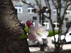 -中央民族大学