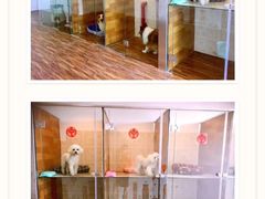 -奶牛家宠物酒店(嘉宏云顶店)