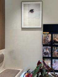 -VIM Hair Salon