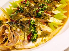 -伯衡55·吉品轩(乌鲁木齐南路店)