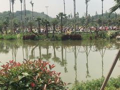 -枫香湖儿童公园