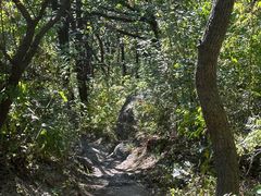 -北京十三陵国家森林公园蟒山景区