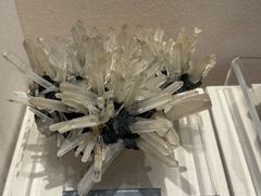 -安徽省地质博物馆