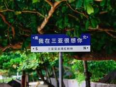 -三亚亚龙湾红树林度假酒店