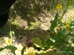 -天宁凯利时尚餐厅