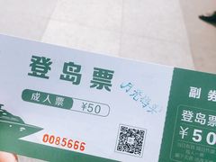 -金鸡湖桃花岛
