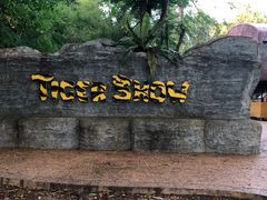 -清迈夜间动物园