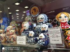 -谢列梅捷沃国际机场