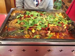 -成都美食巫山烤鱼(三里河路店)