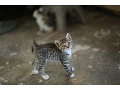 -行人小筑·茶馆(岑村火炉山分店)