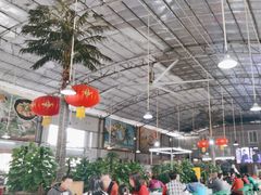 -石岐乳鸽村(桥观坊南四巷店)