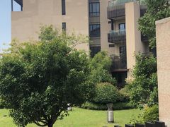 -上海崇明金茂凯悦酒店